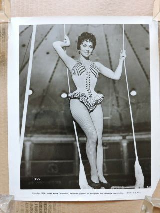 Gina Lollobrigida In Fishnet Stockings Orig Leggy Portrait Photo 1956 Trapeze