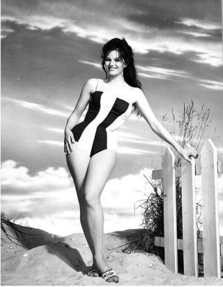 Claudia Cardinale Sexy Leggy Glamour Pin Up In Swimsuit Photo Stamped