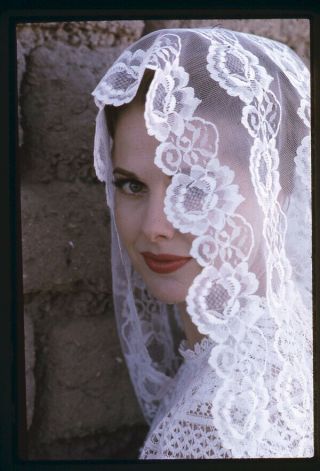 Martha Hyer Glamour Portrait Wearing Veil 35mm Transparency