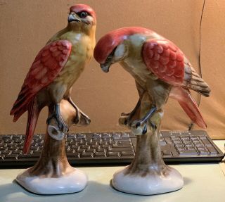 Vintage Pair Porcelain Ceramic Hawk Statues Made In Italy