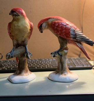 Vintage Pair Porcelain Ceramic Hawk Statues Made in Italy 2