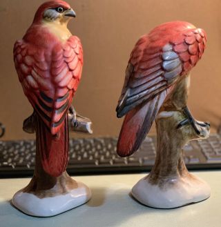 Vintage Pair Porcelain Ceramic Hawk Statues Made in Italy 4