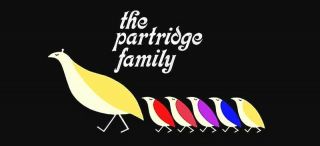 The Partridge Family David Cassidy 70 
