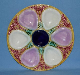 English Majolica Pink & White Wells Oyster Plate,  Great Color