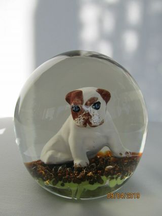 Maude And Bob St.  Clair Glass Dog Paperweight Marked