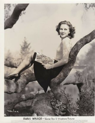 Maris Wrixon - Vintage Photo - Warner Bros - Very Early - Portrait