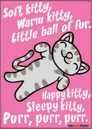 The Big Bang Theory Tv Series Soft Kitty Image Words Refrigerator Magnet