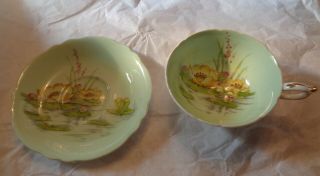 Paragon Pale Green Water Lily HP CUP & SAUCER Double Warrant England 2