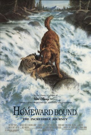Homeward Bound: The Incredible Journey 1993 27x41 Orig Movie Poster Fff - 60348