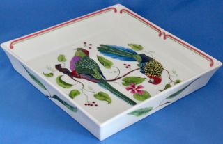 Lynn Chase Parrots Of Paradise 9 " Square Buffet Serving Dish