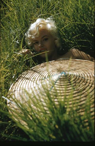 Jayne Mansfield Exotic Glamour Pin Up Lying In Grass Transparency Slide