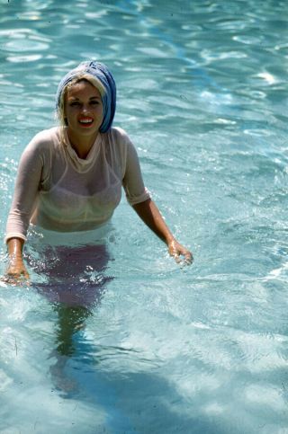 Jayne Mansfield Wet White Shirt Swimming Pool Rare 35mm Transparency