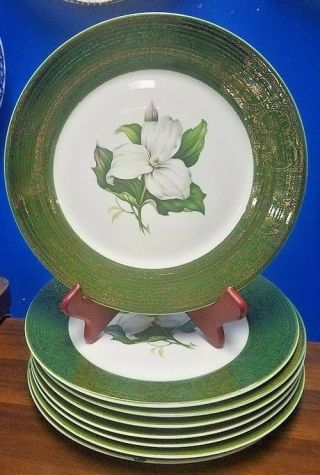 Triumph China American Limoges Trillium Ts28 Pattern 8 Dinner Plates See Details
