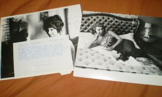 Sophia Loren - Two Rare Images With Stamps And Photo Tags - Sexy Bed