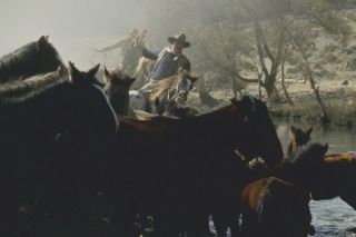 The Sons Of Katie Elder John Wayne On Horseback River And Horses Large Poster