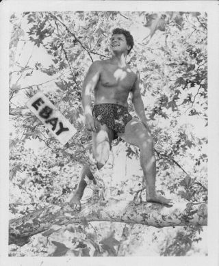 Sexy Johnny Sheffield Vintage Beefcake Photo As Bomba The Jungle Boy