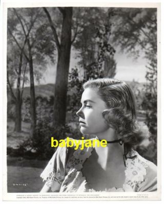 Dorothy Mcguire Vintage 8x10 Photo Lovely Portrait 1945 The Enchanted Cottage