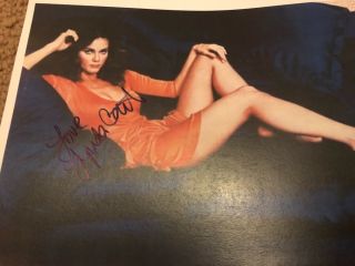 Lynda Carter Sultry Signed With Tamper Proof Hologram & Auto