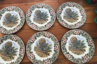 Set Of 6 Churchill Myott Thanksgiving 10 " Dinner Plates Turkey Colored