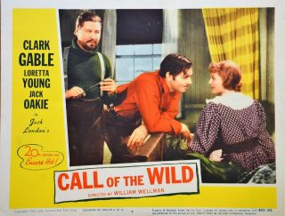 Call Of The Wild Clark Gable/loretta Young 1953 Lobby Poster