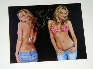 1996 Pmoy Stacy Sanches Signed 8x10 Playboy Playmate Of The Year
