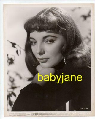 Joan Collins 8x10 Photo Lovely Portrait 1955 Land Of The Pharaohs
