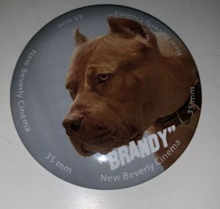 Once Upon A Time In Hollywood Beverly Pin Button “brandy” Brad Pitt Dog