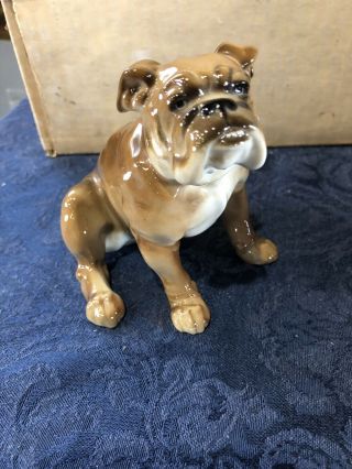 Vtg 50’s Hutschenreuther Bulldog Dog Porcelain Figurine Karl Tutter
