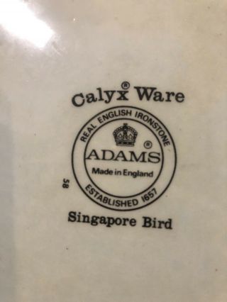 Adams Singapore Bird 4 Salad - 4 Dinner Plates 1960’ Calyx Ware English Ironstone 8