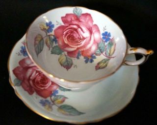 Paragon Pink Cabbage Rose Tea Cup And Saucer To Us & Canada