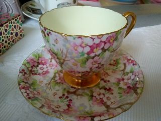 Vtg Shelley England Maytime Chintz Ripon Shaped Cup And Saucer