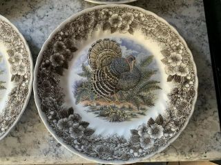 Churchill Myott Wildlife Turkey Dinner Plate 10 