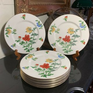 9 Castleton China Usa Ma Lin By Ching - Chih Yee 10 3/4 " Dinner Plates -