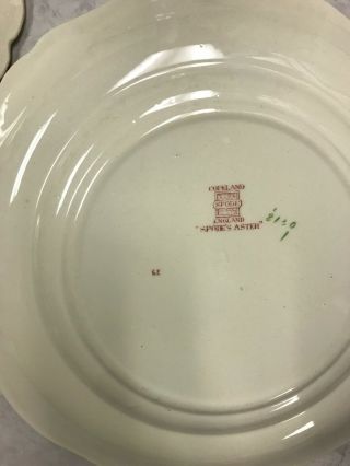Copeland Spode Spode ' s Aster Dinner Plate Set of 5 Red Gadroon 10.  75 