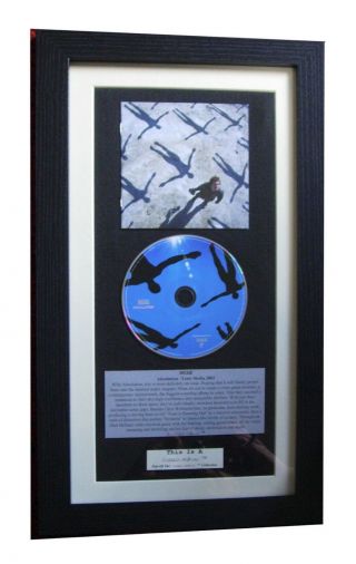 Muse Absolution Classic Cd Album Gallery Quality Framed,  Express Global