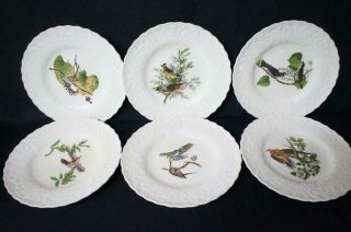 6 Vintage Alfred Meakin Birds Of America 10 7/8 " Dinner Plates England