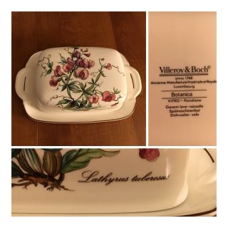 Villeroy & Boch Botanica Butter Dish Cream Cheese Covered Oversize Sweet Pea