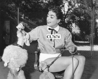 Joan Crawford With Her Pat Dogs On The Movie Set Of 