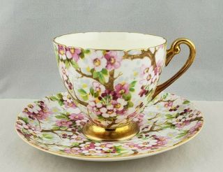 Shelley Maytime Floral Chintz Cup And Saucer