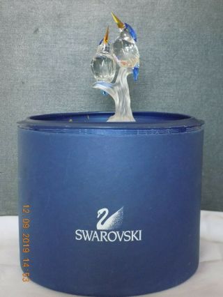 Swarovski Crystal 623323 Malachite Kingfishers Figurine (boxed)