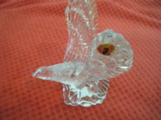 Waterford Crystal Fred Curtis Eagle Nwob 8 Inches Tall