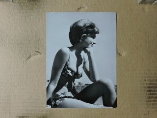 Catherine Spaak Busty Candid Bikini Portrait Photo 1960 