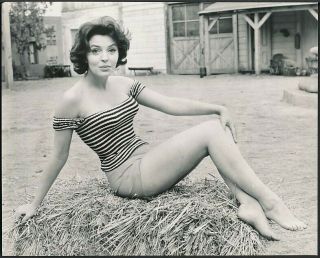 1963 Photo Susan Seaford Hayes A Young Beauty Actress In Swimsuit