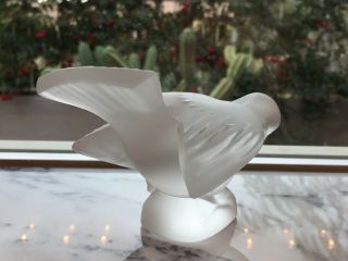 Signed Lalique French Crystal Sparrow,  Head Under Wing Paper Weight