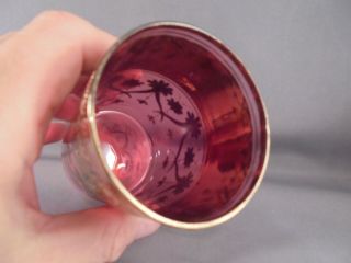 Old Antique Moser Art Glass Cranberry & Gold Enameled Daisy Tumbler 8