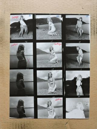 Ingrid Simon In Pantyhose,  Contact Sheet Of Leggy Pinup Portrait Photos 1960 