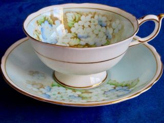 Paragon Fancy Blue Lilac Fine Bone China Cup & Saucer 1940s 3