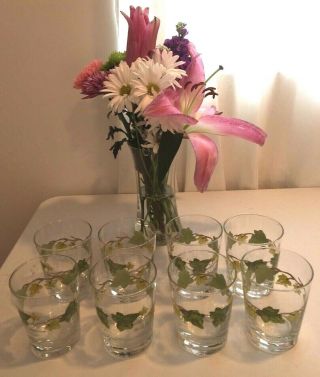 Franciscan Ivy pattern,  8 glasses by Libbey. 4