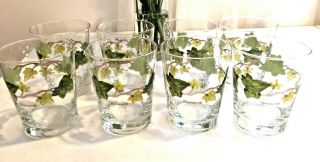 Franciscan Ivy pattern,  8 glasses by Libbey. 5