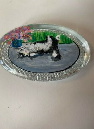 Mosser Oval Blingy Paperweight Long Haired Black White Cat Ooak Rachelle